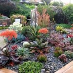 Ideas para tener un hermoso jardín de suculentas